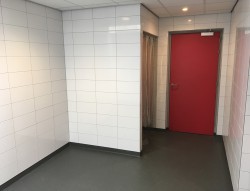 Renovatie kleed-doucheruimte